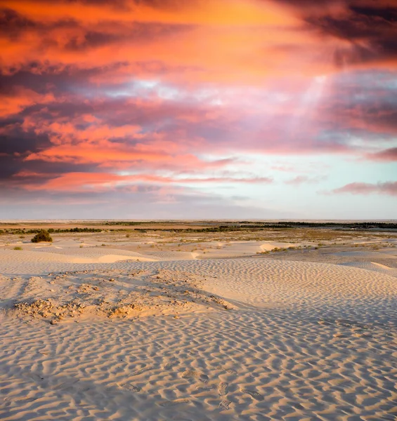 Spectacular sunset over the desert. Vertical composition. — Stock Photo, Image