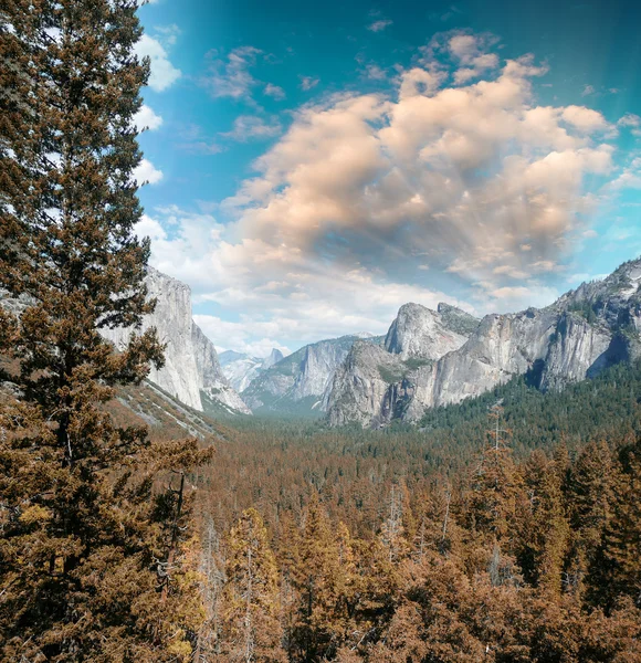 Wonderful National Park scenario. Mountain landscape with trees — Stock Photo, Image