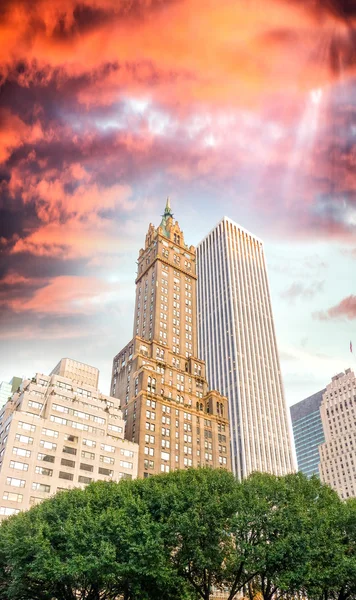 Rascacielos y naturaleza en Nueva York. Escena del atardecer en Manhattan — Foto de Stock