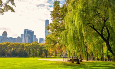 NEW YORK CITY, ABD - 25 Ekim 2015: Turistler ve yerel halk sonbahar sezonunda Central Park 'ı ziyaret ettiler. Bu şehrin ana eğlencesi.