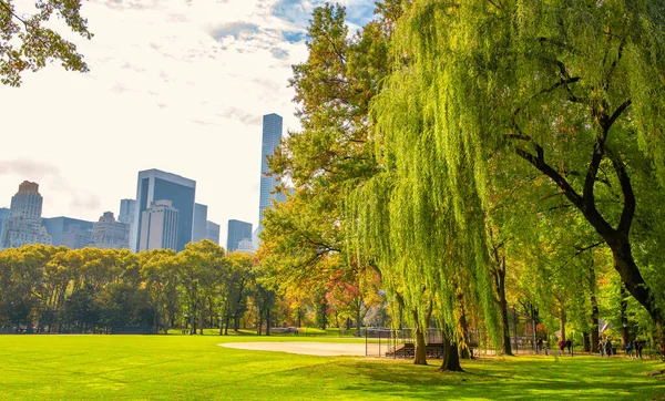 NEW YORK CITY, ABD - 25 Ekim 2015: Turistler ve yerel halk sonbahar sezonunda Central Park 'ı ziyaret ettiler. Bu şehrin ana eğlencesi.
