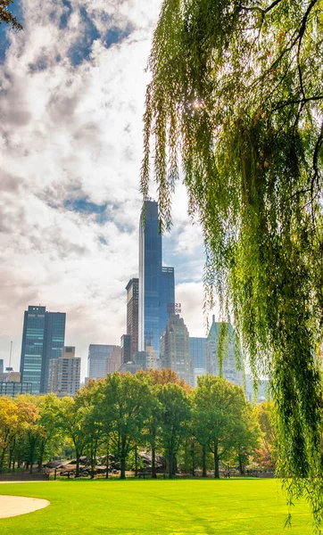 NEW YORK CITY, ABD - 25 Ekim 2015: Sonbahar sezonunda Central Park 'ın yeşillik renkleri. Bu şehrin ana eğlencesi.