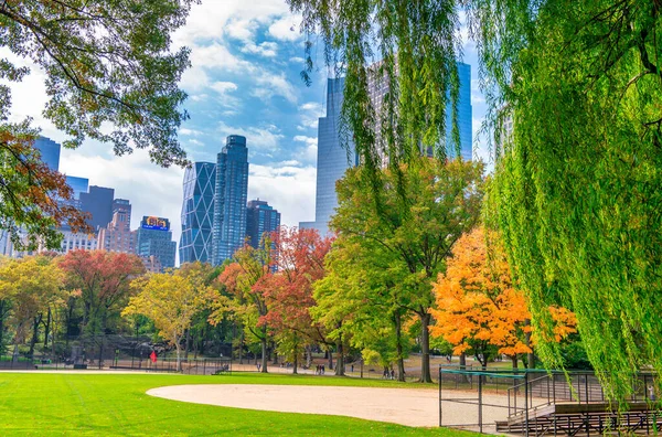 NEW YORK CITY, ABD - 25 Ekim 2015: Sonbahar sezonunda Central Park 'ın yeşillik renkleri. Bu şehrin ana eğlencesi.
