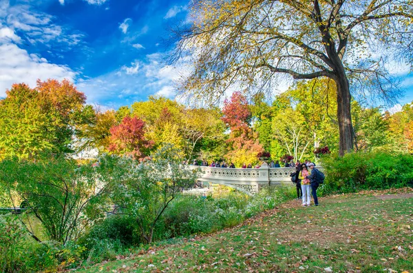 New York City Usa Oktober 2015 Turister Går Längs Central — Stockfoto