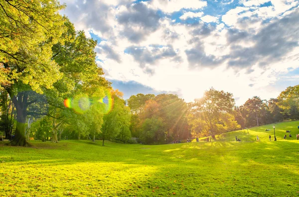 Fénysugarak Szűrése Central Parkban Lombozat Szezon — Stock Fotó