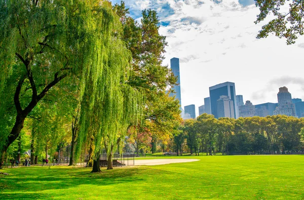 New York, Central Park 'tan ağaçlar ve binalar yeşillik mevsiminde