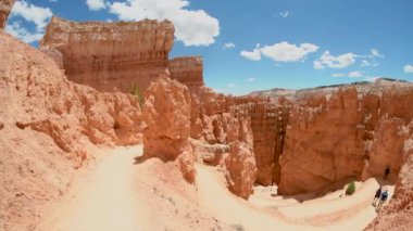 Bryce Kanyon Dağları ve Ağaçlarının Panoramik Manzarası