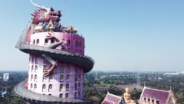 NAKHON PATHOM, THAILAND - DECEMBER 15, 2019: Amazing aerial view of Wat Samphran Dragon Temple, a Buddhist Temple in Amphoe Sam Phran — Stockvideo