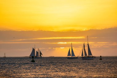 Gün batımında yelkenli siluetleri harika okyanus günbatımına karşı