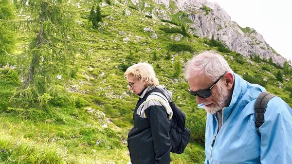 Casal Idosos Durante Uma Excursão Montanha Nos Alpes Temporada Verão — Fotografia de Stock