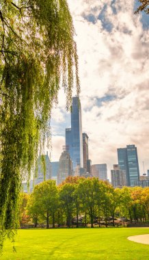 NEW YORK CITY, ABD - 25 Ekim 2015: Sonbahar sezonunda Central Park 'ın yeşillik renkleri. Bu şehrin ana eğlencesi.