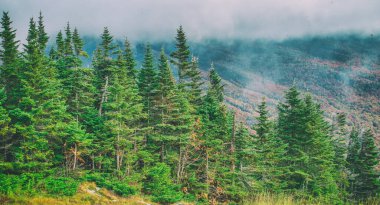 Kaçakçıların Notları Eyalet Parkı Sonbaharda, New England