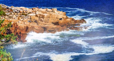 Acadia Ulusal Parkı 'nın sonbahar yeşillik renkleri. Ağaçlar ve okyanus, Maine
