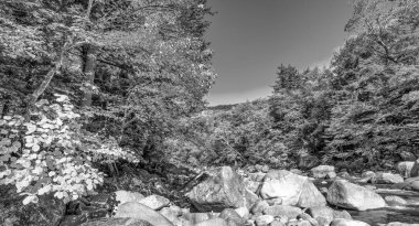 Conway, New Hampshire, ABD 'de yaprak ağacı renkleri