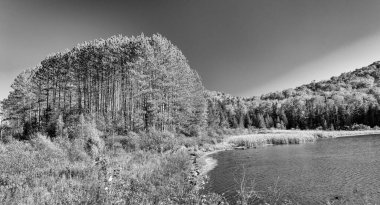 New Hampshire, ABD 'de yaprak mevsiminde Riddel Pond