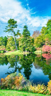 Mount Desert Adası, Acadia Ulusal Parkı Yeşillik mevsiminde