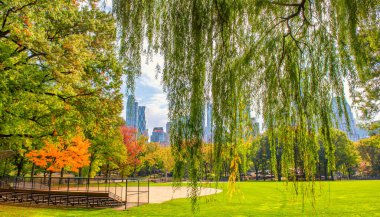Sonbahar mevsiminde Central Park 'ın yeşillik renkleri. Bu şehrin ana eğlencesi..