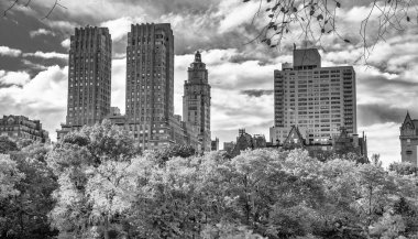 New York, Central Park 'tan ağaçlar ve binalar yeşillik mevsiminde