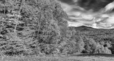 Kaçakçıların Notları Eyalet Parkı Sonbaharda, New England