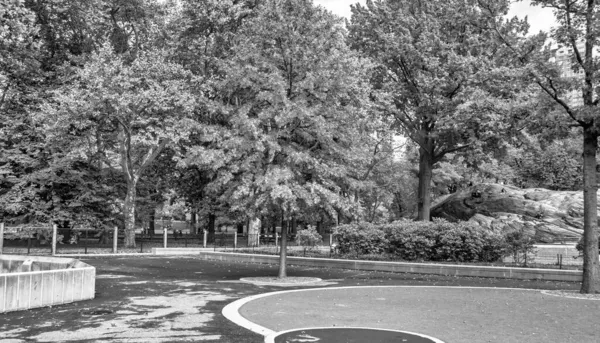 Цвета Листвы Центрального Парка Осенний Сезон Нью Йорк — стоковое фото