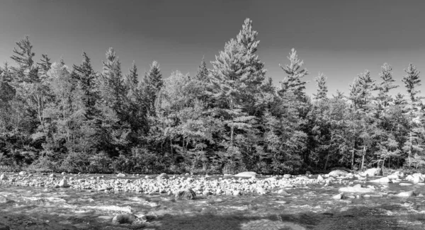 Swift River Foliage Trees Colors Conway New Hampshire Panoramic View — Stock Photo, Image