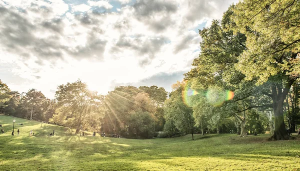 Filteren Van Lichtstralen Central Park Gebladerte Seizoen — Stockfoto