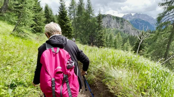 Погляд Жінку Під Час Гірської Подорожі Разом Літніми Альпійськими Альпіністами — стокове фото