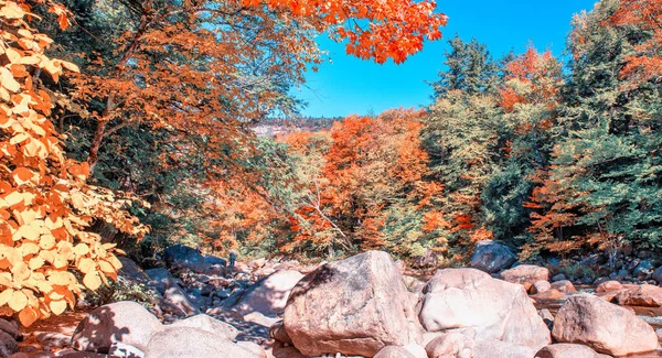 Rocks Swift River Foliage Season New Hampshire — Stock Photo, Image