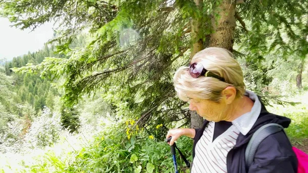 Familie Bei Einer Bergtour Entlang Der Italienischen Alpen Sommersaison — Stockfoto