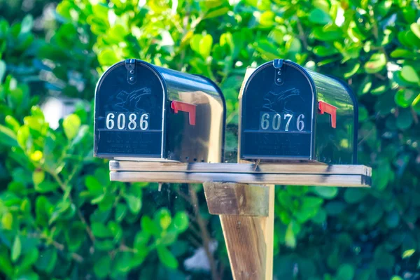 Florida États Unis Février 2016 Boîtes Aux Lettres Long Une — Photo