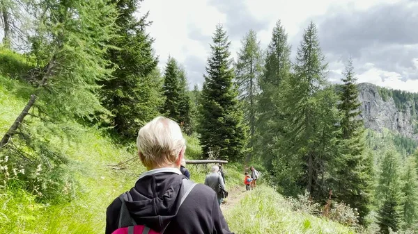 Back View Family Mountain Trip Italian Alps Summer Season — Stock Photo, Image