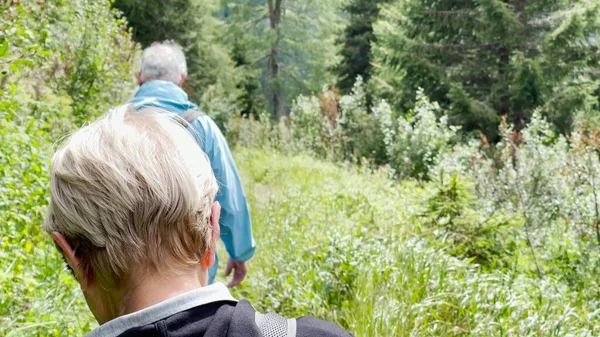 Vista Trasera Familia Durante Viaje Montaña Largo Los Alpes Italianos — Foto de Stock