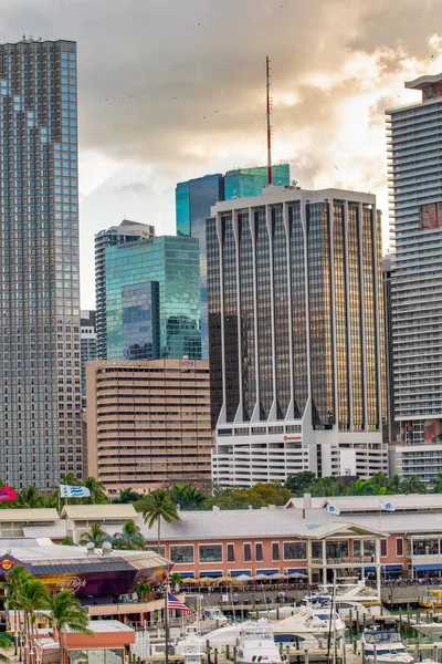 MIAMI, FL - 28 Şubat 2016: Günbatımında Miami ufuk çizgisi ve yüksek gökdelenler