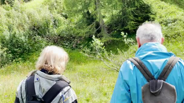 Pareja mayor durante una excursión de montaña en los Alpes, temporada de verano — Vídeos de Stock