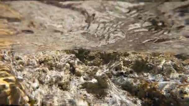 Повільний рух підводних гальки в прекрасному океані — стокове відео