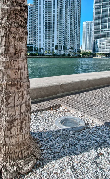 Bunte Straßen Von Miami Einem Sonnigen Tag — Stockfoto