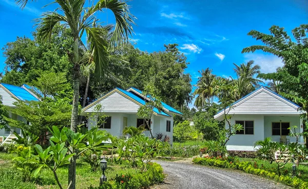 Vackra Färger Thailand Countryside — Stockfoto