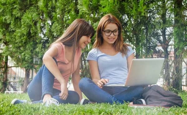 一对多种族的同性恋青少年使用笔记本电脑躺在草地上 幸福与光明的概念 — 图库照片