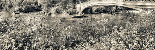 Boottocht Central Park Gebladerte Seizoen Vakantie Ontspannen Concept — Stockfoto