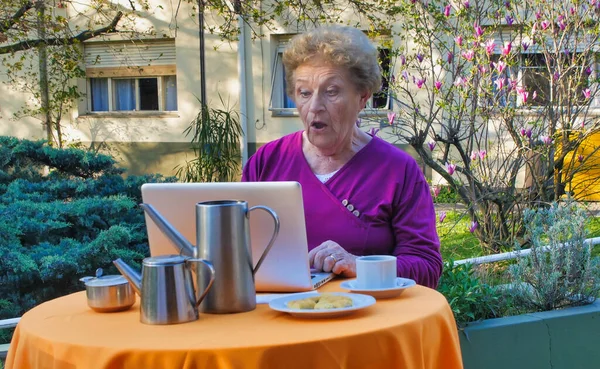 Yaşlı Sinirli Mutlu Bir Kadın Bahçede Dizüstü Bilgisayarın Önünde Konuşuyor — Stok fotoğraf