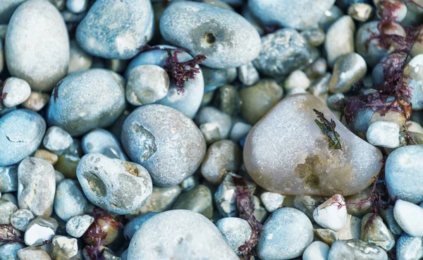 Coleção Seixos Pedra — Fotografia de Stock