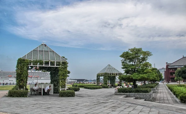 Jardin Végétation Été Tokyo Japon — Photo