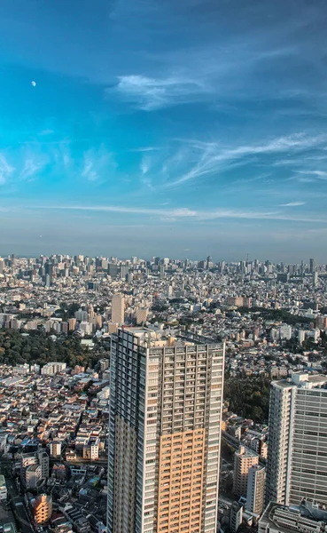 Horizonte Tóquio Japão Vista Aérea Maravilhosa Arranha Céus Rise Cidade — Fotografia de Stock