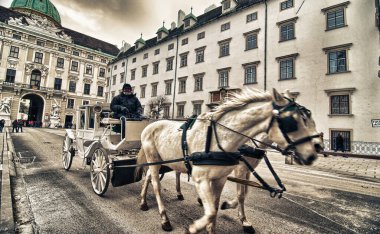 Viyana - 6 Ocak: turist şehir sokakları, 6 Ocak 2010 tarihinde Viyana'da boyunca. 11 milyondan fazla kişi şehir her yıl ziyaret..