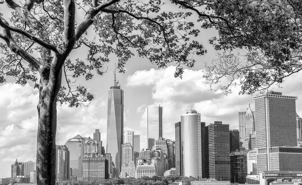 Belle Silhouette Lower Manhattan Encadrée Par Des Arbres Governors Island — Photo