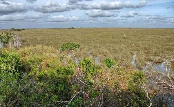 Everglades Florida Maravillosos Colores Invierno Del Parque Nacional — Foto de Stock