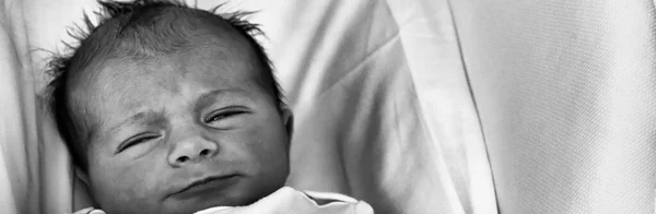 Newborn Girl Sleeping Cradle — Stock Photo, Image