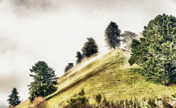Colinas Nueva Zelanda Envueltas Por Niebla Concepto Invierno — Foto de Stock