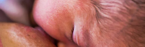 Een Jonge Moeder Borstvoeding Haar Pasgeboren Kind Het Ziekenhuis — Stockfoto
