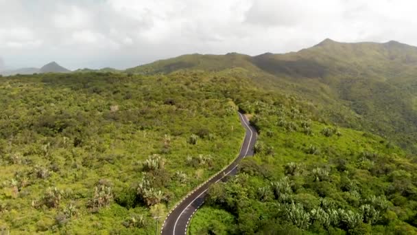Hermosa carretera a través del bosque de la isla, vista aérea — Vídeos de Stock